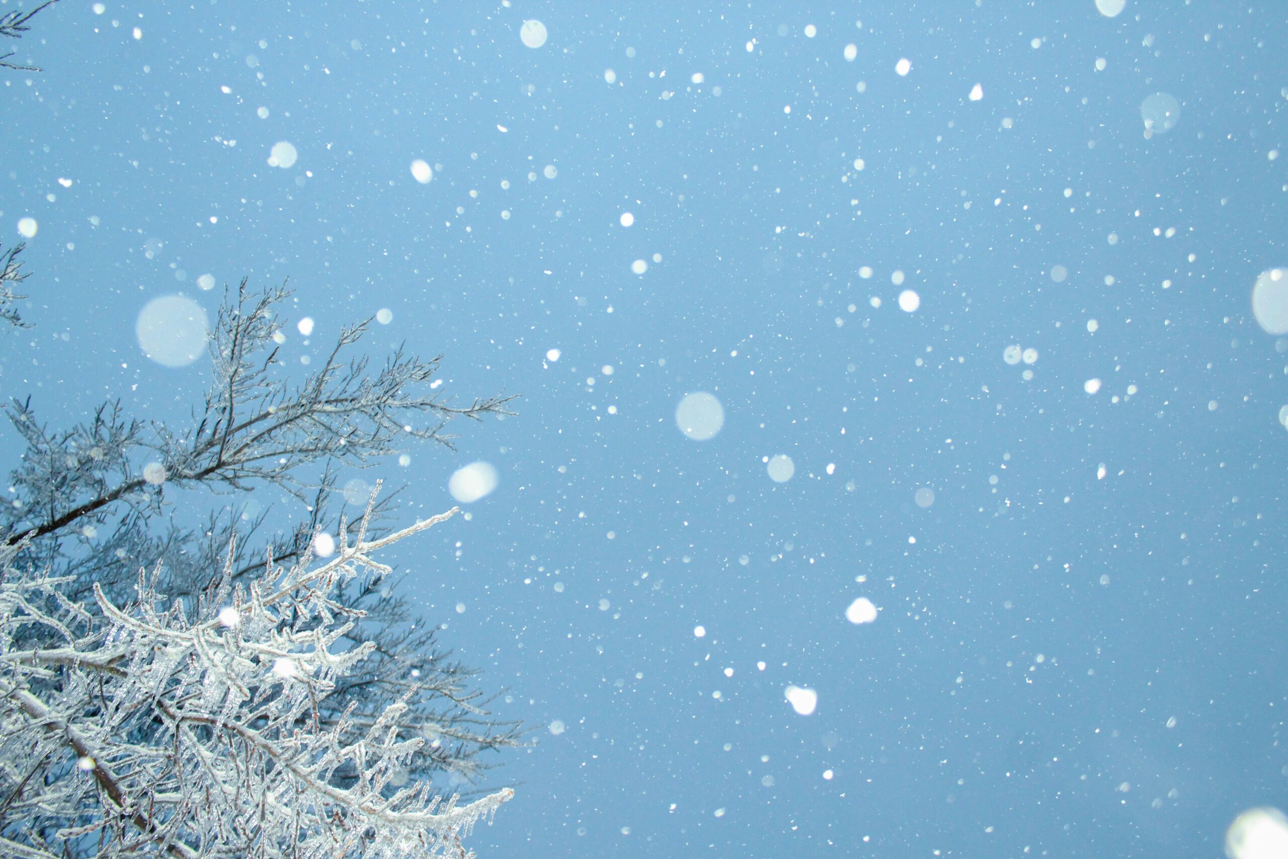 まさか3月下旬に雪！？　狭山市柏原美容室warawa
