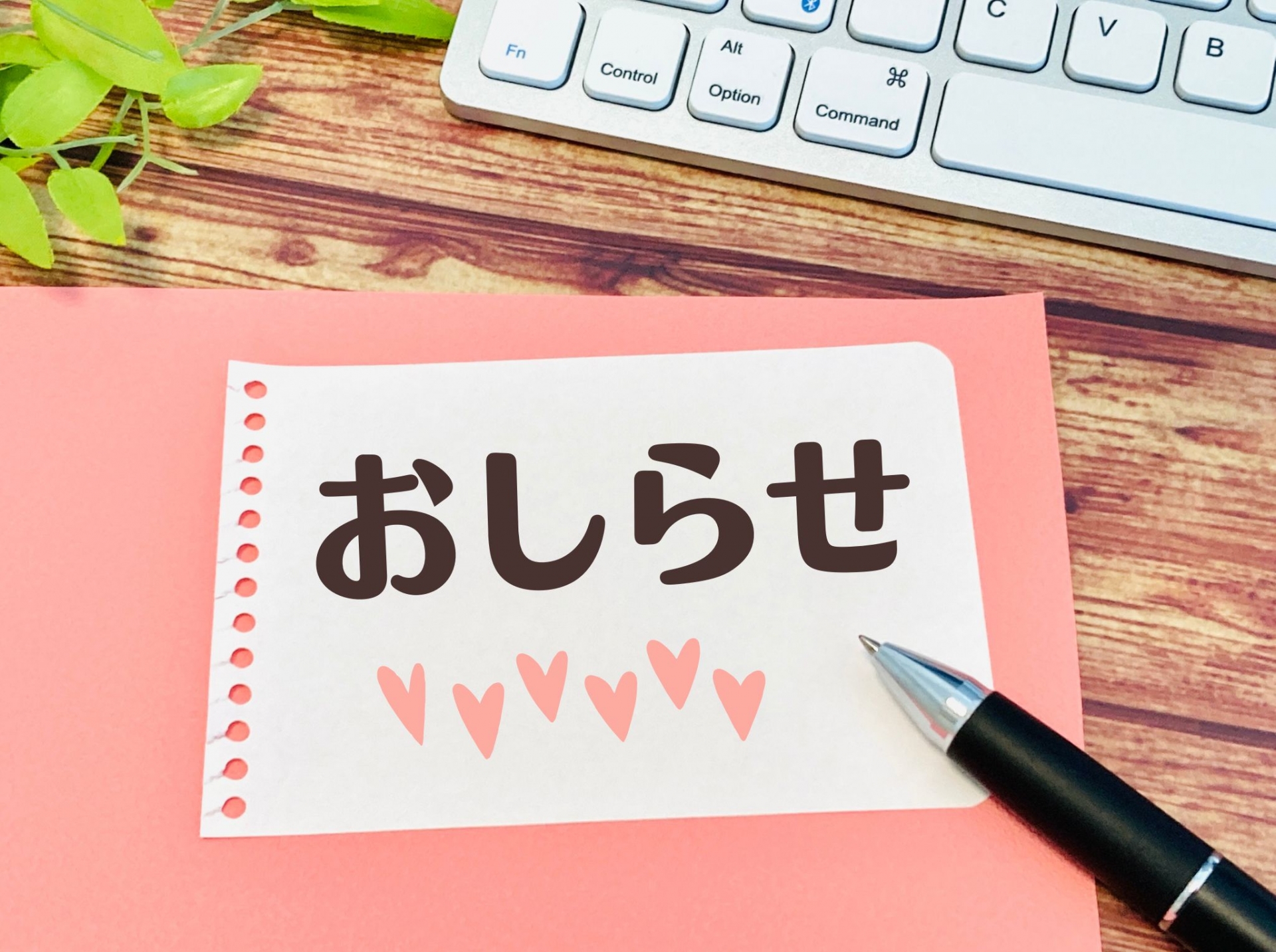 明日４月２９日（水曜日）はお休みを頂きます　狭山市柏原美容室warawa(わらわ)