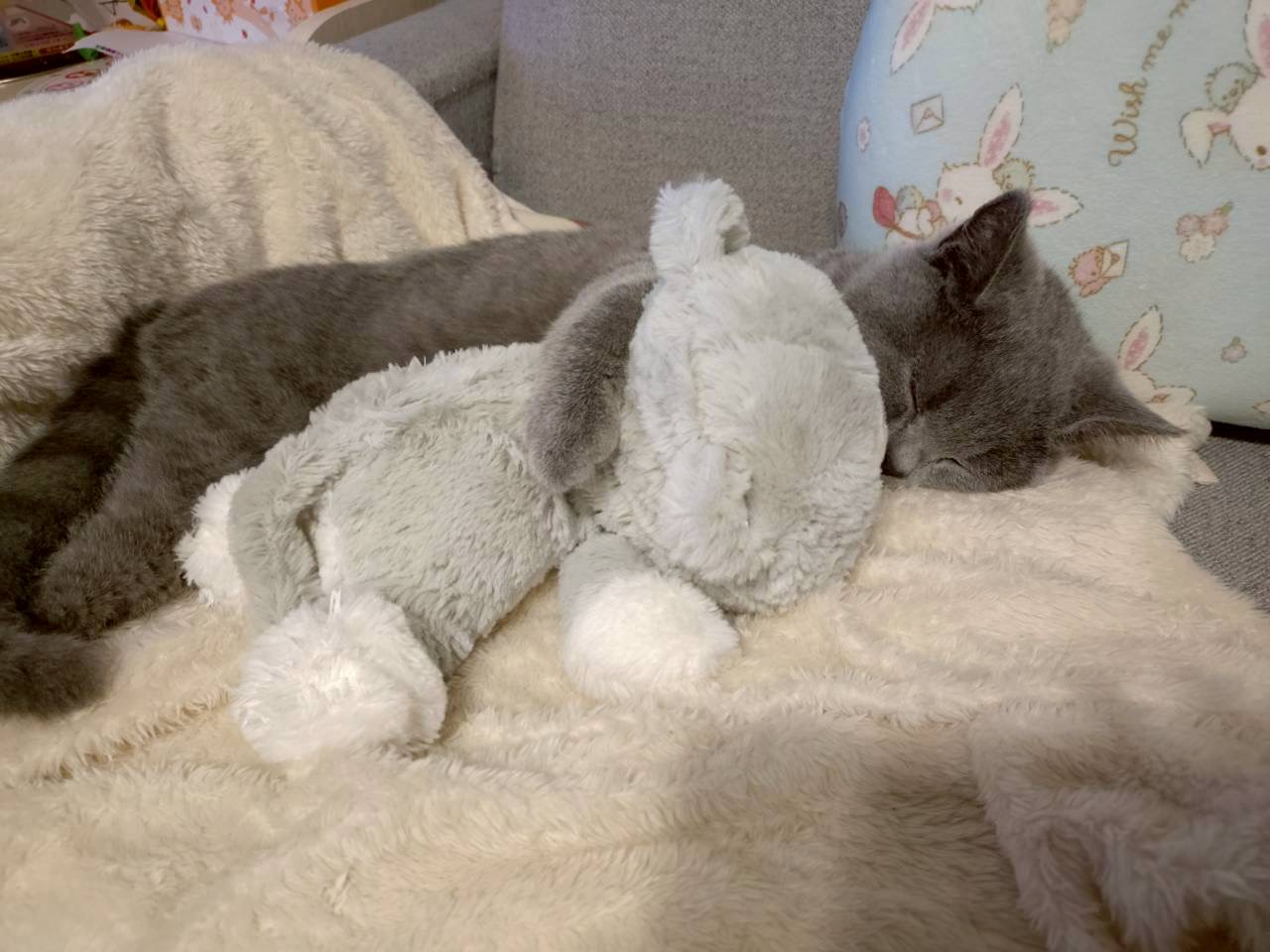 抱き枕 狭山市柏原美容室warawa(わらわ)