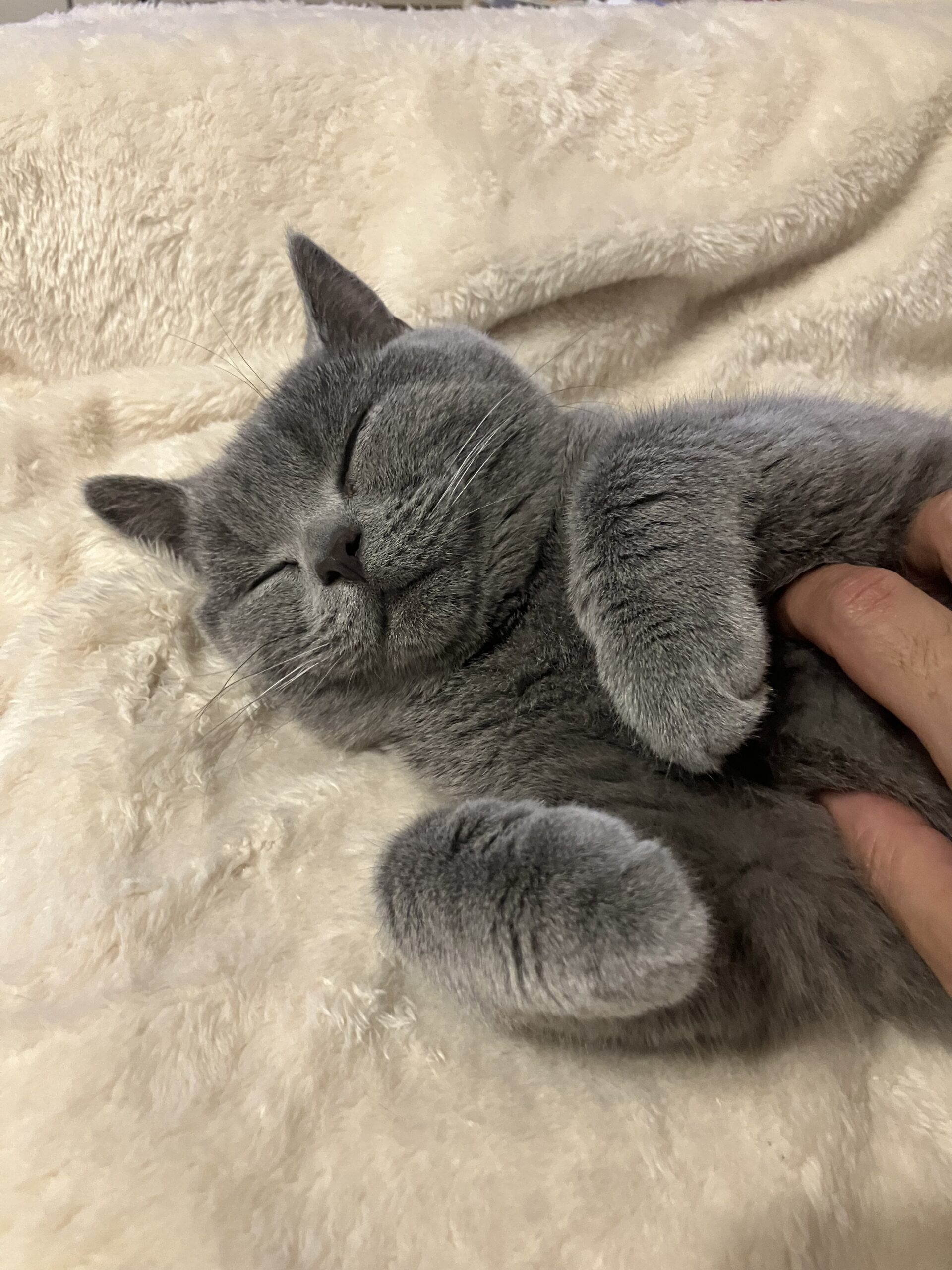 睡眠を邪魔する　狭山市柏原美容室warawa(わらわ)