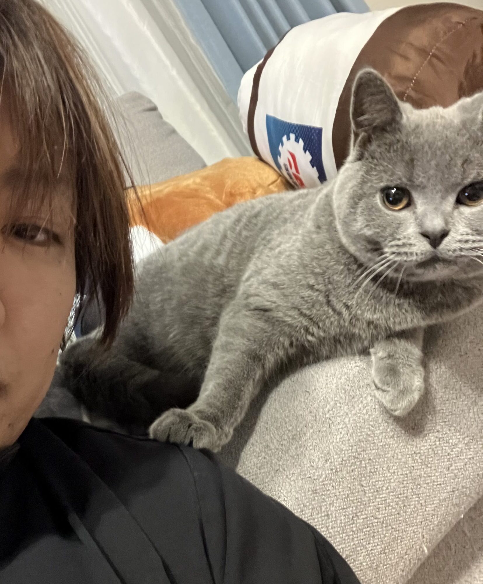 帰宅後の癒し　狭山市柏原美容室warawa(わらわ)