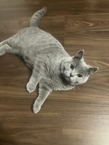 ちょっとぽっちゃりしたかな　狭山市柏原美容室warawa(わらわ)