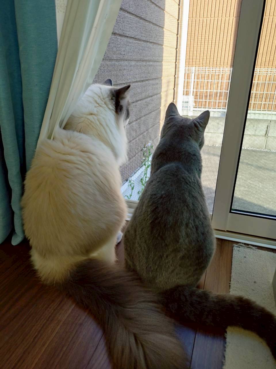 シンクロ 狭山市柏原美容室warawa(わらわ)