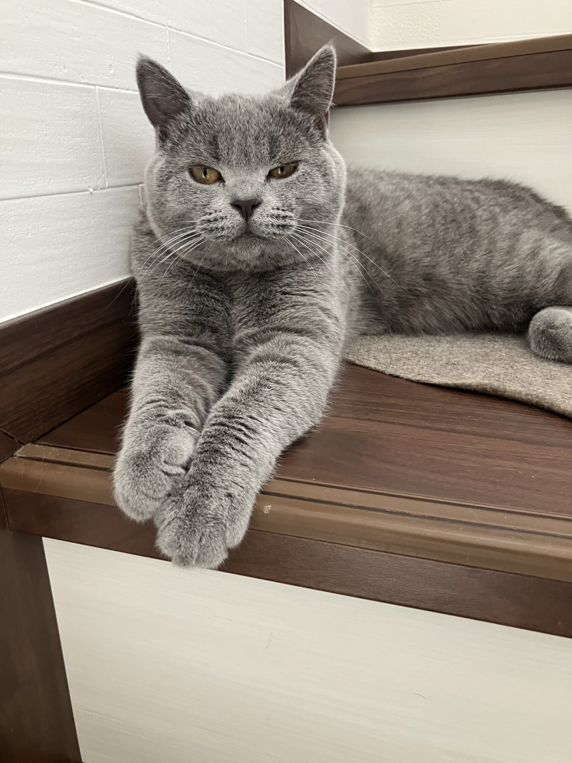 ぽけぇ〜〜〜 狭山市柏原美容室warawa(わらわ)