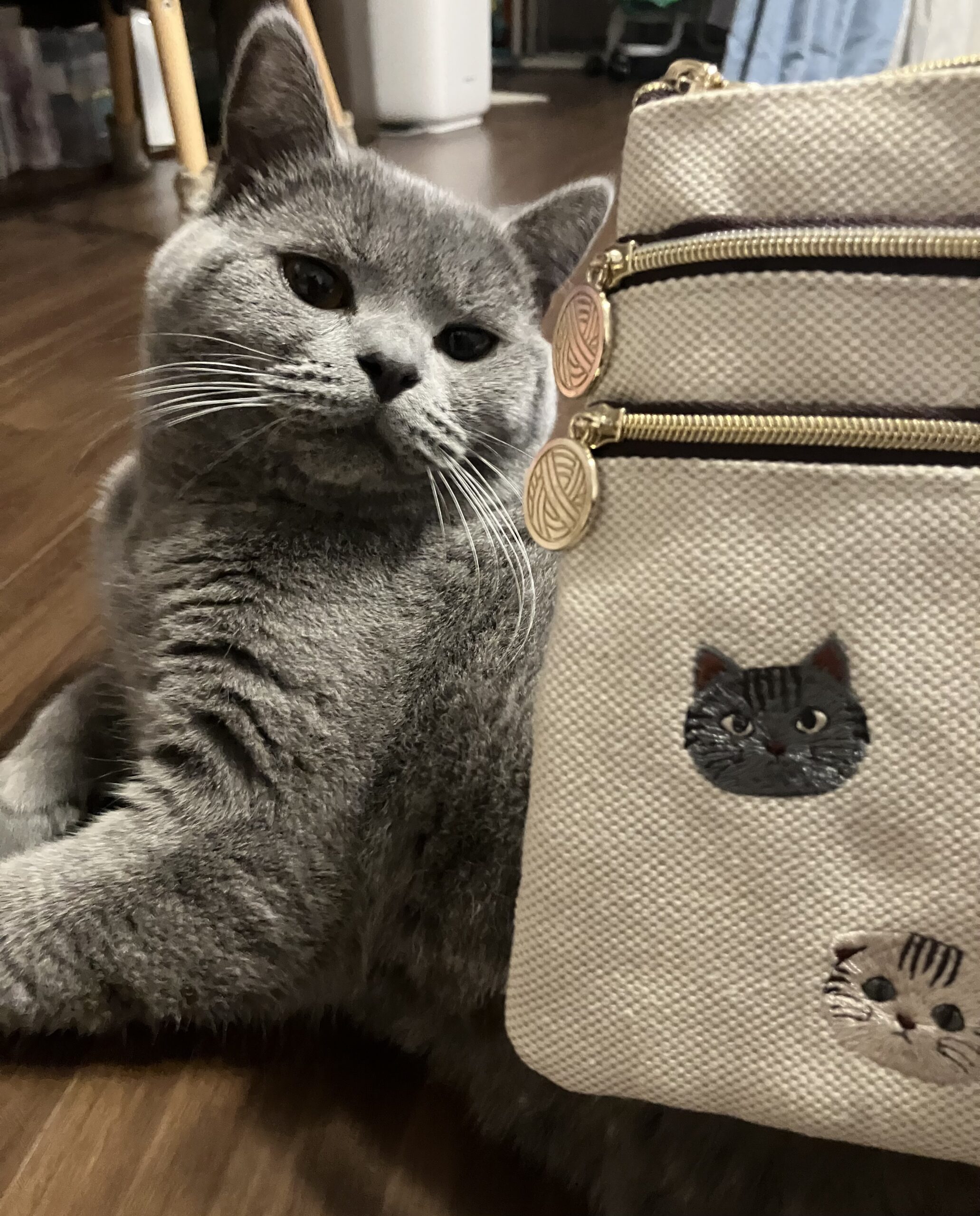 似てるということで　狭山市柏原美容室warawa(わらわ)