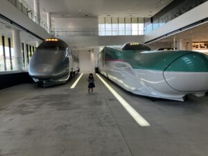 今日は鉄道 狭山市柏原美容室warawa(わらわ)